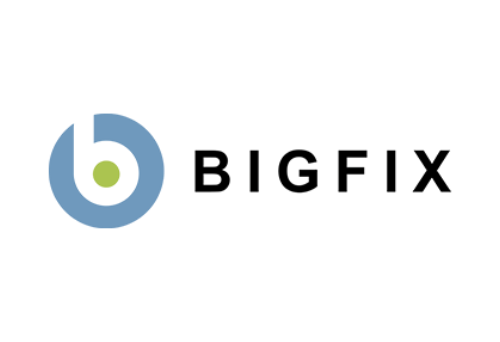 bigfix-re